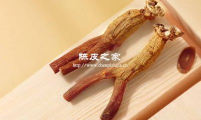 高丽参陈皮麦冬泡水喝功效