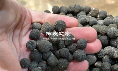 柑胎同陈皮灵芝有什么作用