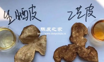 真陈皮和假陈皮的外观区别