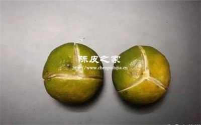 陈皮茶的陈皮是用什么皮做的