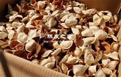 陈皮可以放在纸箱里保存吗