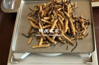 陈皮与冬虫夏草可以一起泡水喝吗