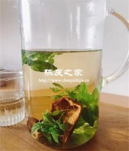 陈皮和薄荷煲水要放多少水合适