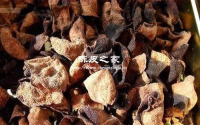 北方干燥环境会杀死陈皮活性吗？