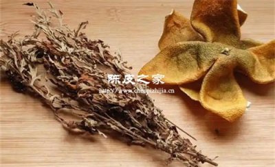 艾叶陈皮甘草煲水喝的功效