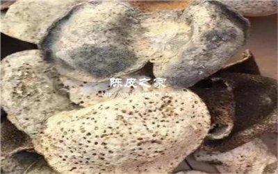 轻微发霉的陈皮煮汤更鲜美吗?
