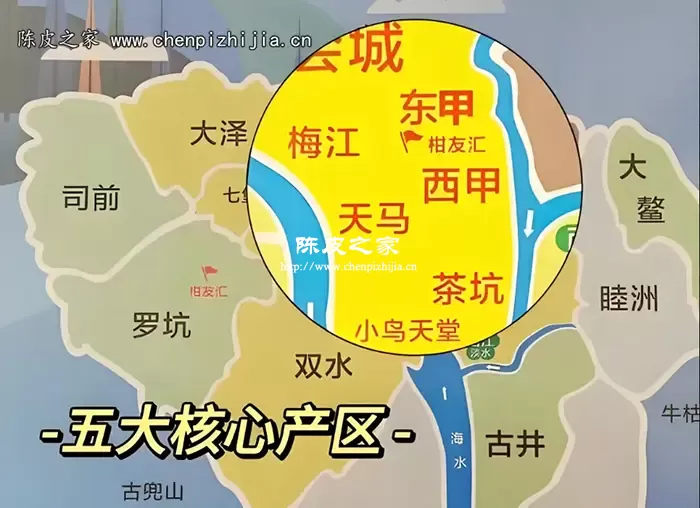 新会哪里种植的茶枝柑好?这4个地方陈皮品质都是上乘!