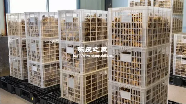 五年以下的陈皮要如何进行打理?