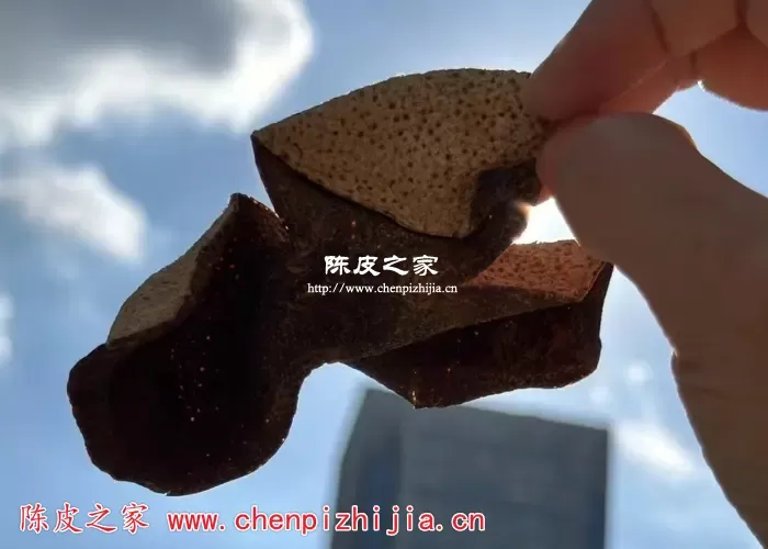 陈皮和自己晒的橘子皮一样吗
