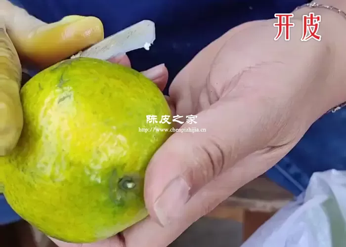 正宗陈皮制作方法必须蒸吗?制作陈皮的6大步骤!