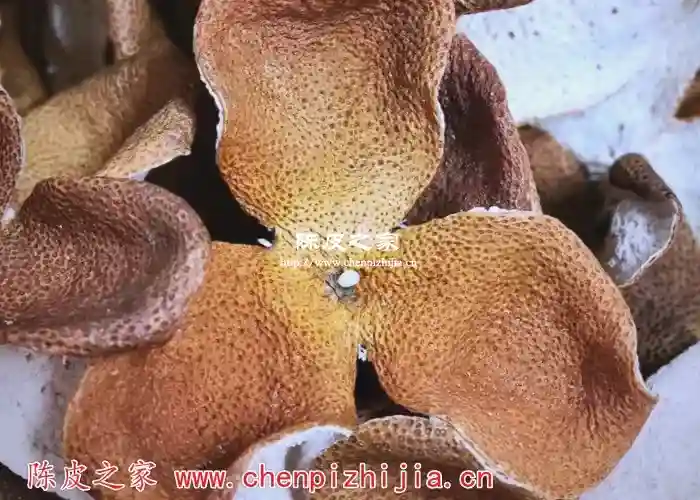 鲜桔子皮泡水喝的功效与作用及食用方法