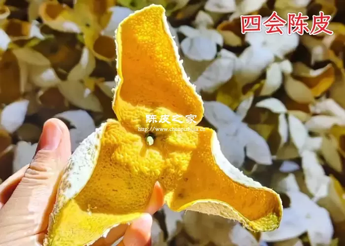 四会老陈皮大概多少钱一斤