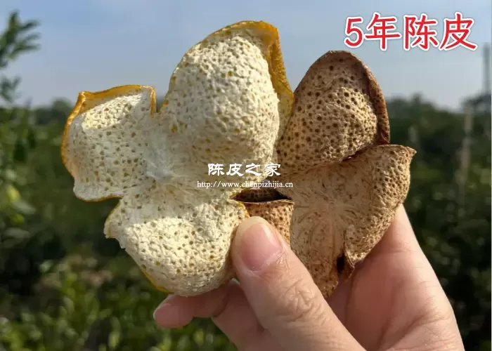 陈皮是5年的好还是10年的好