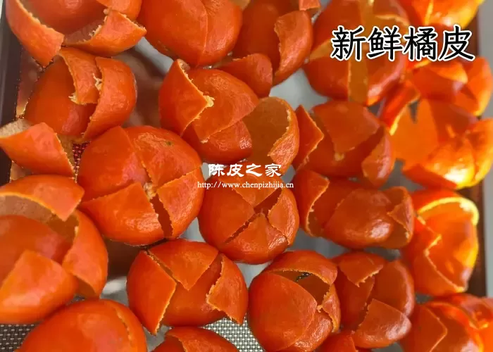 新鲜的桔子皮可以当陈皮用吗,两者之间有什么差别?